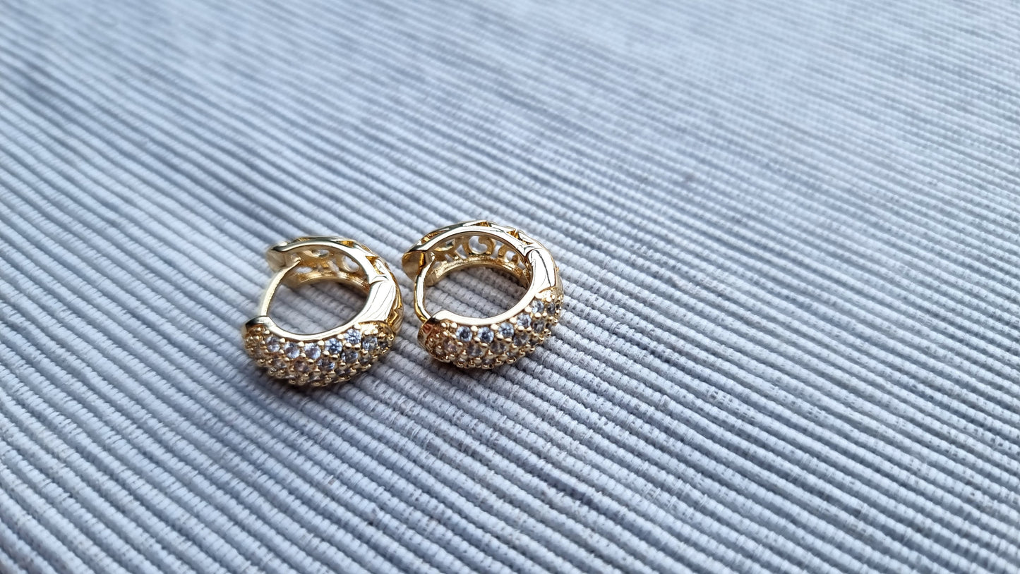 Golden Elegance Hoop Earrings